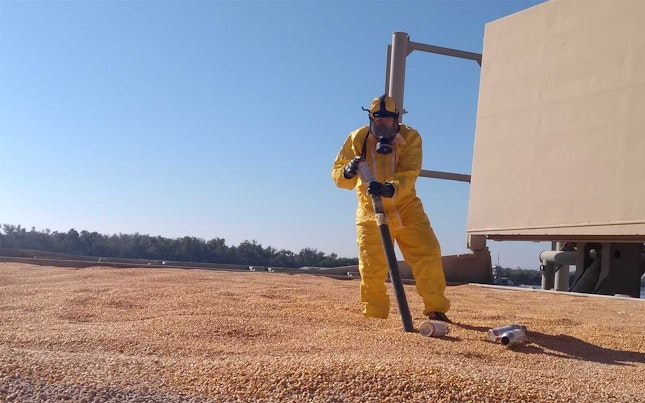 fumigation-and-pest-management.cdn.en.1