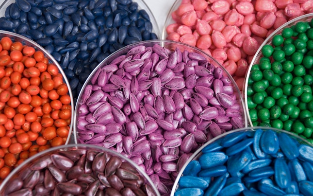 seed-studies.cdn.en.1