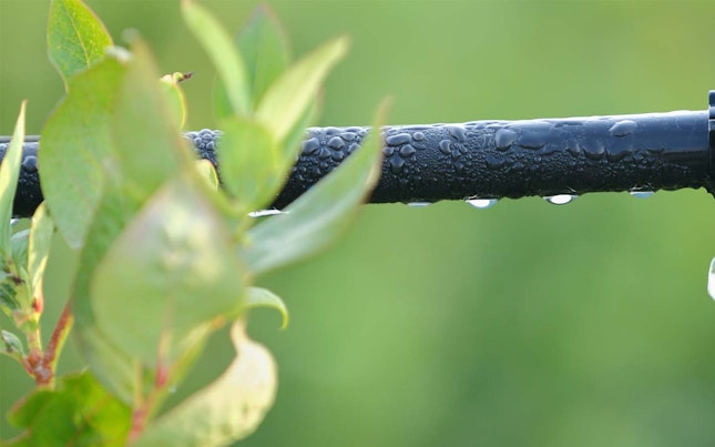 water-pipe.cdn